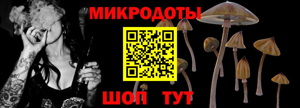 Псилоцибиновые грибы MAGIC MUSHROOMS Ковров